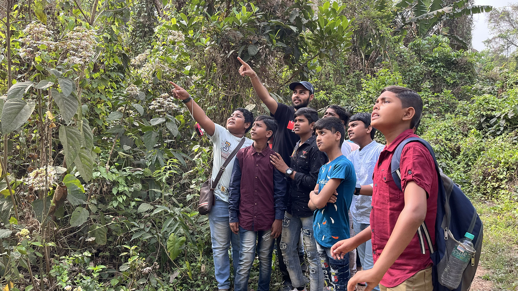 educational programs